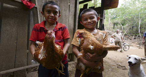 8-BOYS-WITH-CHICKENS—SEAN-S