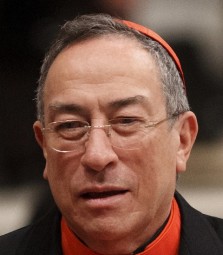 Elector: Honduran Cardinal Oscar Rodriguez Maradiaga
