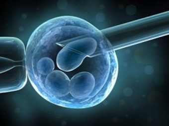 19-ivf embryo