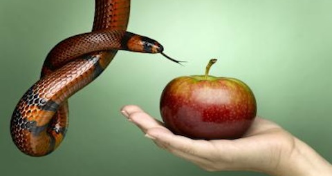 female had holding apple with snake